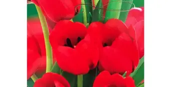 Святочны канцэрт, прысвечаны Дню Вялікай Перамогі