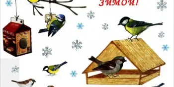 Зімуючым птушкам - наш клопат