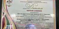 Вяршыня майстэрства: наша гімназія прызнана лепшай па выніках 2025 года!