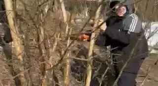 Чысціня ля ракі