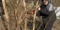 Чысціня ля ракі